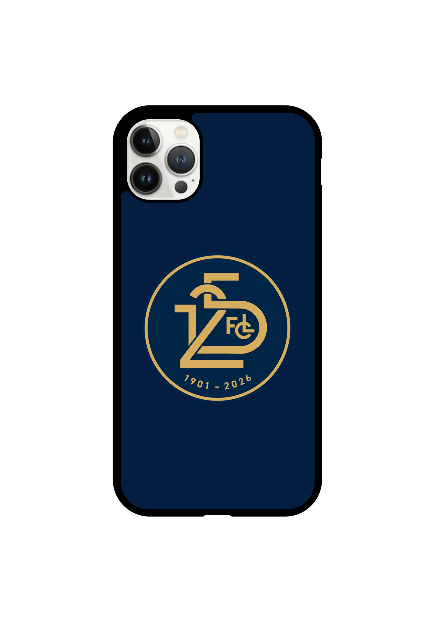 FC LUZERN 125 LOGO
